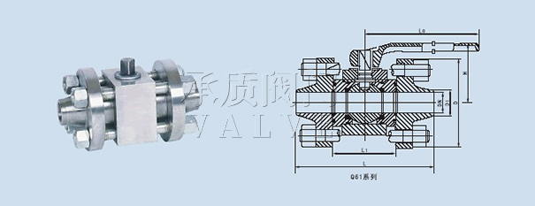 對(duì)焊球閥,高壓對(duì)焊球閥原理圖